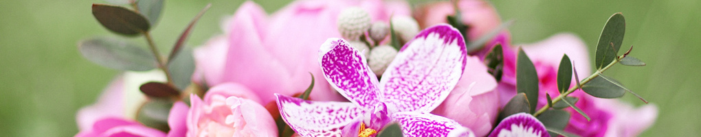 Blumen & Brautstrauss Bild: Kategorie - Blumen & Brautstrauss